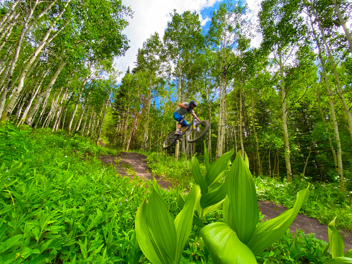 BEST MTB SALE Page 2 Canfield Bikes best-mtb-sale-page-2-canfield-bikes