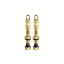 Load image into Gallery viewer, Spank Tubeless Valve Kit