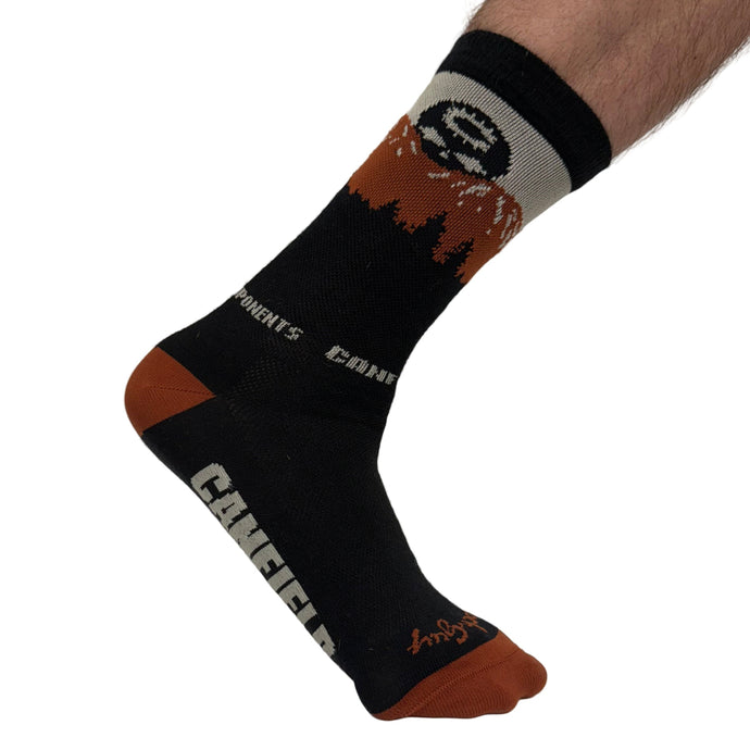 Canfield Collegiate Skully Socks