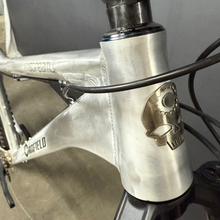 Load image into Gallery viewer, DEMO BIKE: YELLI SCREAMY - Raw - XL-Complete Bike - Head Badge