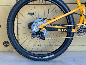 USED DEMO BIKE: LITHIUM - Gnarigold - Large (Complete Bike)