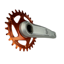 Load image into Gallery viewer, Canfield Bikes DH Cranks - Silver NEW