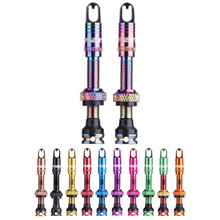Load image into Gallery viewer, Spank Tubeless Valve Kit
